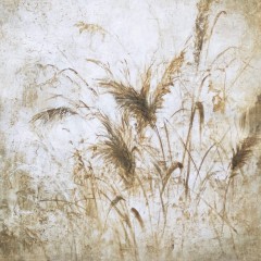 PLUMEROS (120x120cm)